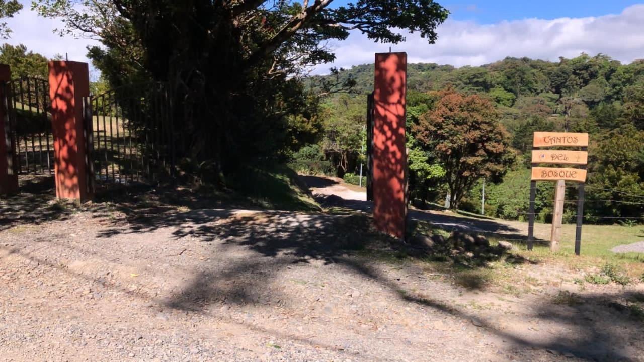 Cantos Del Bosque Monteverde Bagian luar foto