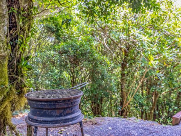 Cantos Del Bosque Monteverde Bagian luar foto